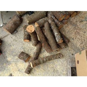 なめこの成る木 ホダ木 原木 山桜 短木 標準...の詳細画像2