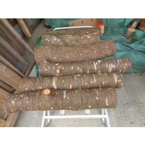 なめこの成る木 ホダ木 原木 山桜 短木 標準...の詳細画像3