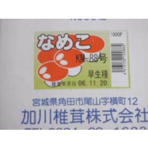 なめこの成る木 ホダ木 原木 山桜 短木 標準...の詳細画像4