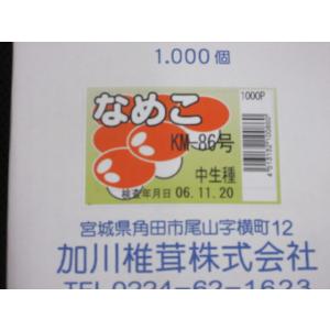 なめこの成る木 ホダ木 原木 山桜 短木 標準...の詳細画像5