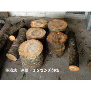 ナメコの成る木 ホダ木 1年物 そめいよしの 重箱式 20kg〜24kg入り：2個〜3個組｜yunoki