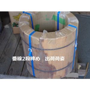 日本みつばち捕獲兼用巣箱中型 Amazon.co.jp: 巣箱：石田式 ニホンミツバチ捕獲箱【本格派向け