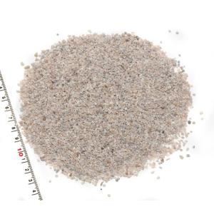 小さな貝殻パーツ】サクラガイ 桜貝 さくら貝 お得パック : クラフト