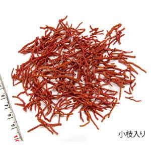 小さな貝殻パーツ サクラガイ 桜貝 さくら貝 : クラフトハウス - 通販
