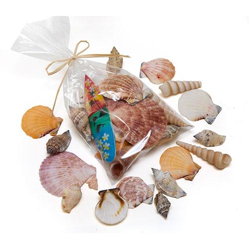【貝殻パーツ】シェルミックス サーフボードセット  袋入り〈ゆうパケット厚み3cm可能〉