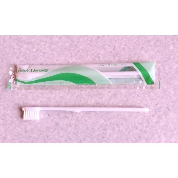 (送料無料）使い捨て　インスタントハブラシ　(歯みがき粉入り)５００本（北海道、沖縄、離島、は別途送...