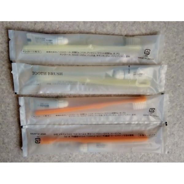 （送料無料）ハブラシ（歯磨きチューブ3ｇ）セット250本 送料無料 （北海道、沖縄、離島、は別途送料...