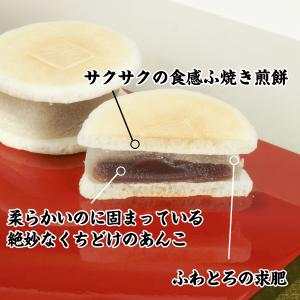 天狗力餅10個入り 御礼 ギフト 手詰め最中の...の詳細画像2