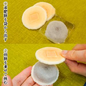 天狗力餅10個入り 御礼 ギフト 手詰め最中の...の詳細画像4