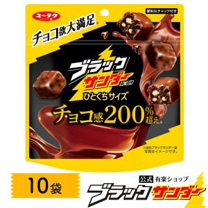 ブラックサンダーひとくちサイズ パウチ 10袋 チョコ チョコレート プチギフト プレゼント ブラック サンダー 2024 チョコレート菓子 父の日