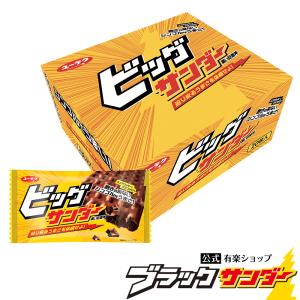 ビッグサンダー 1箱20枚入 チョコ チョコレート ギフト 大量 プレゼント スイーツ お菓子 プチギフト 有楽製菓 個包装