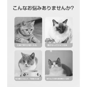 自動給水器 給餌器 猫用 犬用 ネコ イヌ ペ...の詳細画像2