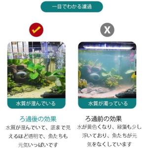 滴流式トリクルフィルター 池用上部ろ過装置 多...の詳細画像5