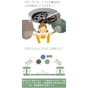 フェイクグリーン 壁掛け 吊り下げ 消臭 おし...の詳細画像3
