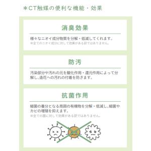 フェイクグリーン 壁掛け 吊り下げ 消臭 おし...の詳細画像4