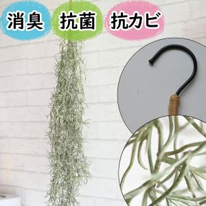 フェイクグリーン 壁掛け 吊り下げ ハンギング 消臭 おしゃれ リアル『光触媒より便利なＣＴ触媒 スパニッシュモススワッグ』