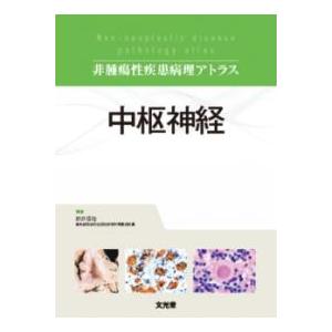 医歯薬出版 運動機能障害症候群のマネジメント-理学療法評価・MSB