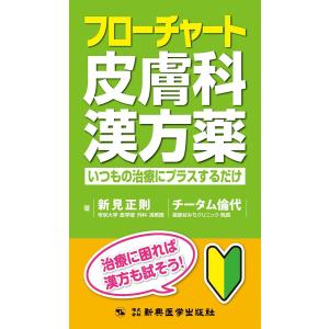 フローチャート皮膚科漢方薬-いつもの治療にプラスするだけ