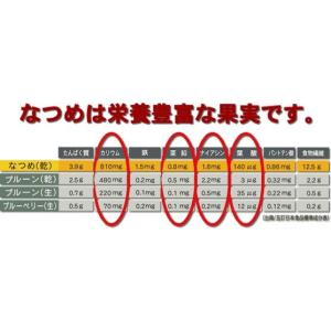 国産 乾燥 なつめ 100g 無農薬 福井県産...の詳細画像1