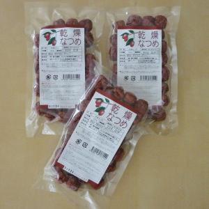 国産 乾燥 なつめ 100ｇ×３袋 無農薬 福井県産 砂糖不使用 ナツメ｜yuru-yakuzen