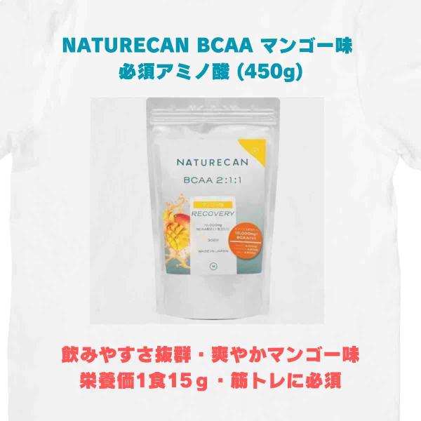 【特価:賞味期限2024年10月末迄】Naturecan BCAA マンゴー味 サプリメント 必須ア...