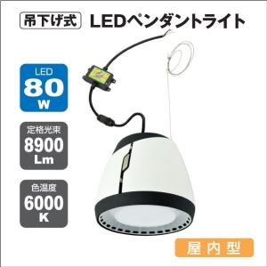 吊下げ式 LEDペンダントライト 屋内型｜yusac