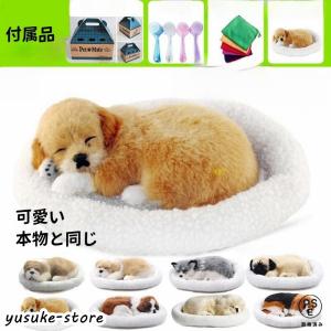 いぬ　ぬいぐるみ Amazon.co.jp: JIANEEXSQ 12インチ リアルなセントバーナード犬