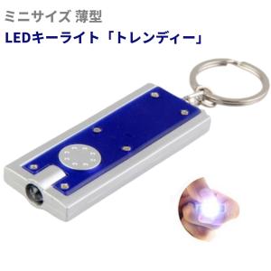 キーライト LED搭載 薄型ミニ懐中電灯 防災/夜道/アウトドアに便利 LK