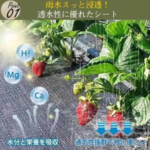 防草シート 雑草対策 厚手 1mx50m 防草...の詳細画像3