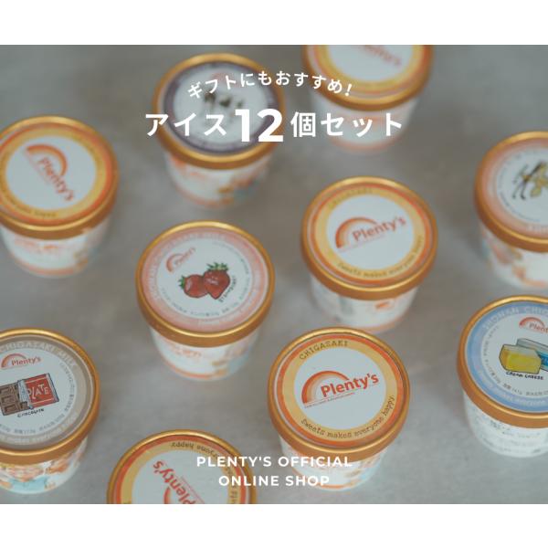 アイスクリーム12個セット│Plenty's（プレンティーズ）