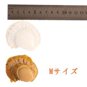 特大 ボイル ホタテ M サイズ NET 80...の詳細画像3