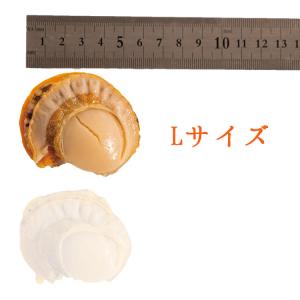 特大 ボイル ホタテ L サイズ NET 80...の詳細画像3