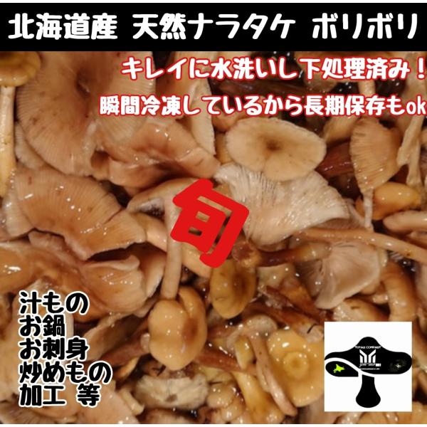 北海道道南産 天然　ボリボリ　ナラタケ　生冷凍　1kg　