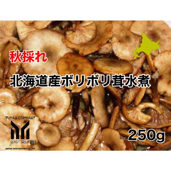 北海道　道南産　ナラタケ　ボリボリ瓶詰め　250g×２　500g