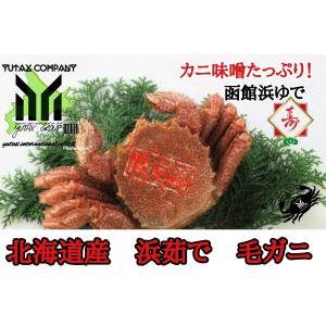 毛蟹 特大 毛ガニ 北海道産 毛がに 800g 2尾セット 送料無料 ボイル