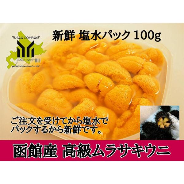 北海道　函館産　高級　キタムラサキウニ　塩水パック　100g　ウニ　うに