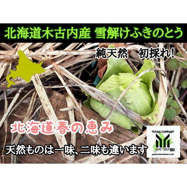 北海道産　ふきのとう　フキノトウ　250g