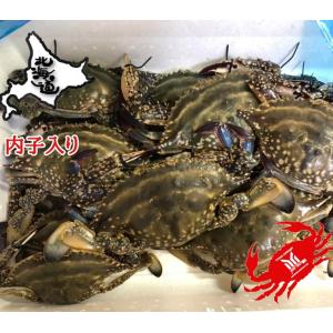 北海道　森町産　ワタリガニ　メス　内子入り　3kg