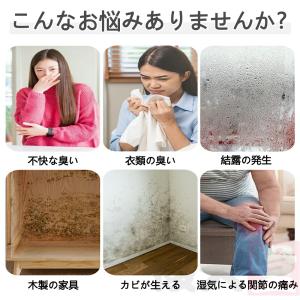 除湿機 空気清浄機 衣類乾燥 梅雨対策 小型 ...の詳細画像2