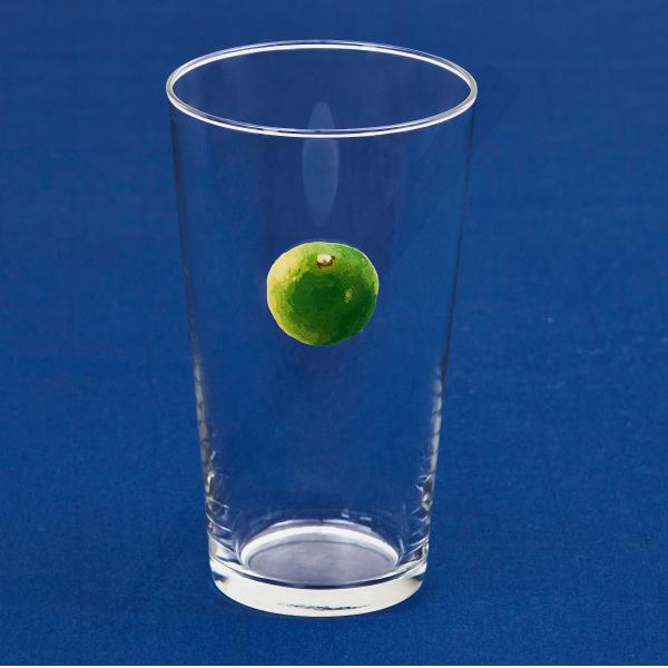 すだちタンブラー 栗原はるみ 食器 グラス コップ ガラス 500ml 酢橘 フルーツ柄 ジュース ...