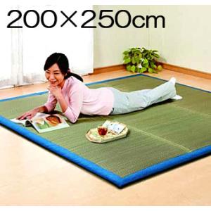 300円クーポン進呈 い草上敷ボリュームクッションラグ 200×250 カーペット ラグ マット｜yutoriplan