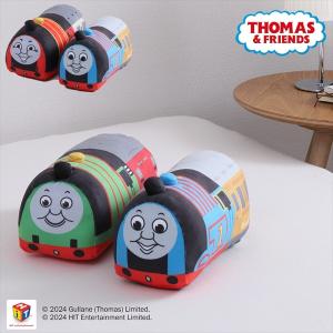 西川 トーマス&ジェームス パーシー 洗える 抱...の商品画像