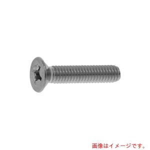 【メール便対応】サンコーインダストリー（SUNCO）　（＋）サラ小ネジ　３×３０　（1本入）　【品番：00-00-0001-00300300-00】