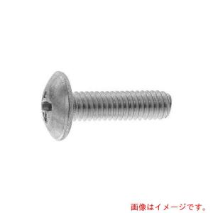 【メール便対応】サンコーインダストリー（SUNCO）　ＢＳ（＋）トラスコ　２×４　（1本入）　【品番：00-01-0003-00200040-00】