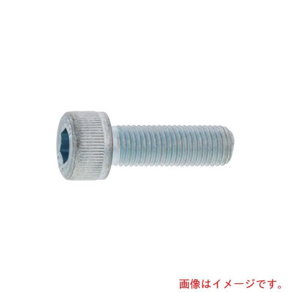 サンコーインダストリー（SUNCO）　ＣＡＰ（細目Ｐ１．２５　１０×５０　（８０本入）　【品番：A0...