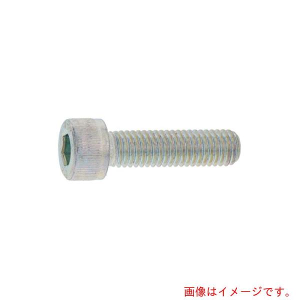 サンコーインダストリー（SUNCO）　ＣＡＰ（日産ネジ　８×６５　（８０本入）　【品番：A0-00-...