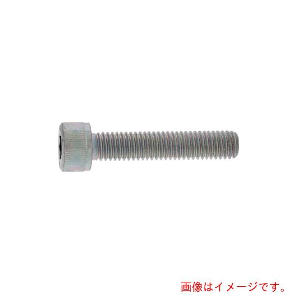 サンコーインダストリー（SUNCO）　ＣＡＰ（全ネジ　１０×８０×８０　（５０本入）　【品番：A0-...