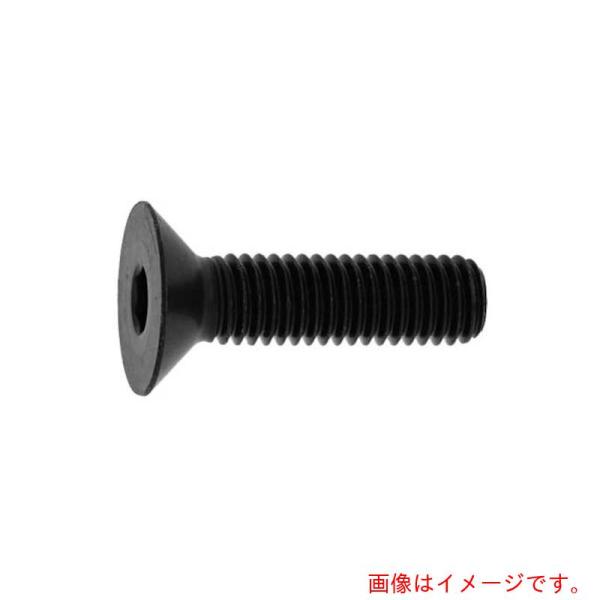 サンコーインダストリー（SUNCO）　サラＣＡＰ（日産ネジ　ＪＩＳ　２０×８０　（２０本入）　【品番...