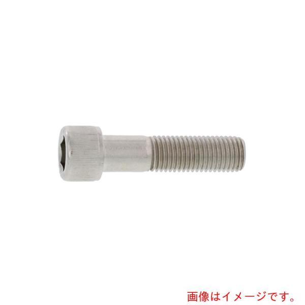 サンコーインダストリー（SUNCO）　ステンＣＡＰ　輸入品　１２×８０　（４０本入）　【品番：A0-...
