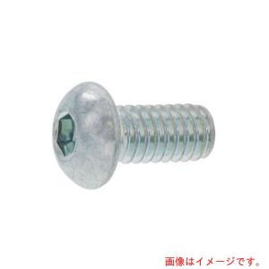 【メール便対応】サンコーインダストリー（SUNCO）　ＳＵＳボタンＣＡＰ　３×１０　（1本入）　【品番：A0-02-1000-00300100-00】
